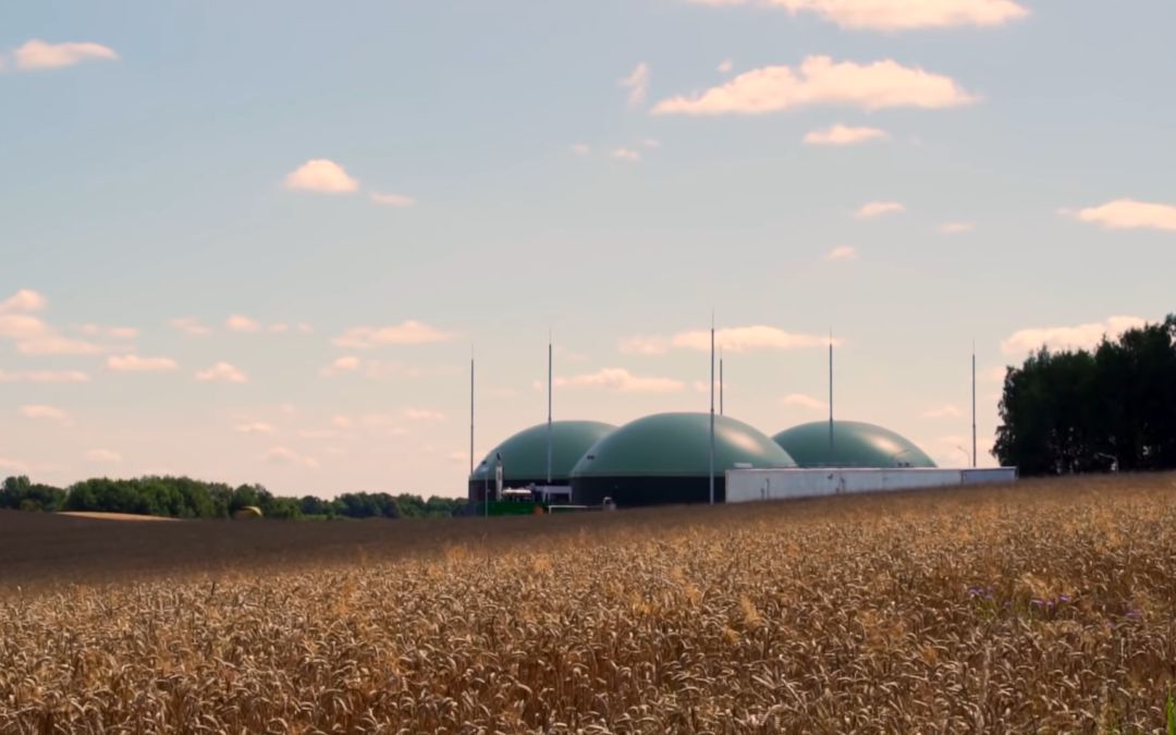 Jak działa biogazownia?