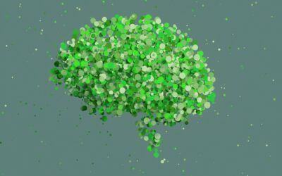 brain 1280
