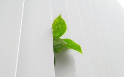 franck v 1JePildXM7g unsplash 1916x1437 1